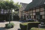 De Kraanvogel