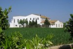 Molino Nuevo 