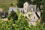 Chateau de Cheman