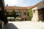 Le Haras de Stel