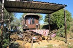 El Rodamon
