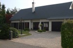 B&B Catalpas