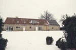 In de velden