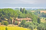 Torre di Tabacco